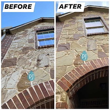 Why McKinney Roofs Develop Black Streaks: The Science of Gloeocapsa Magma and Soft Washing